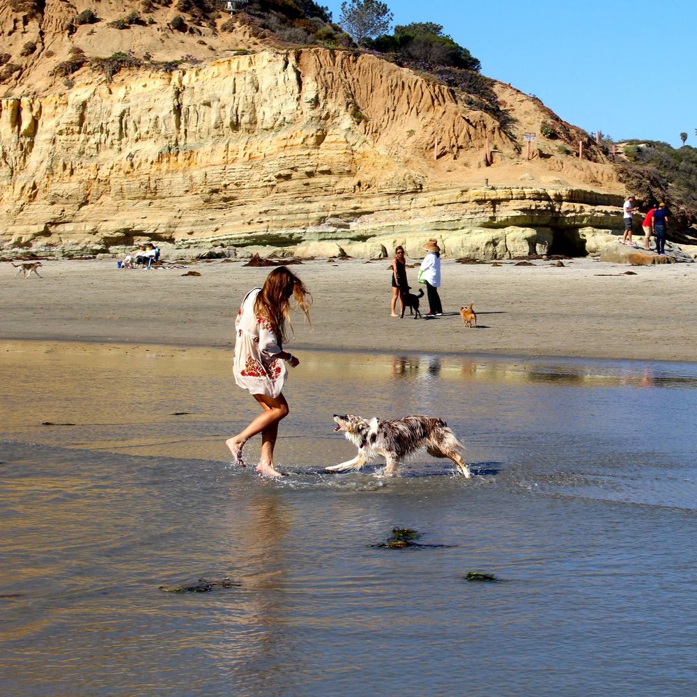 Meet your Posher, Sienna